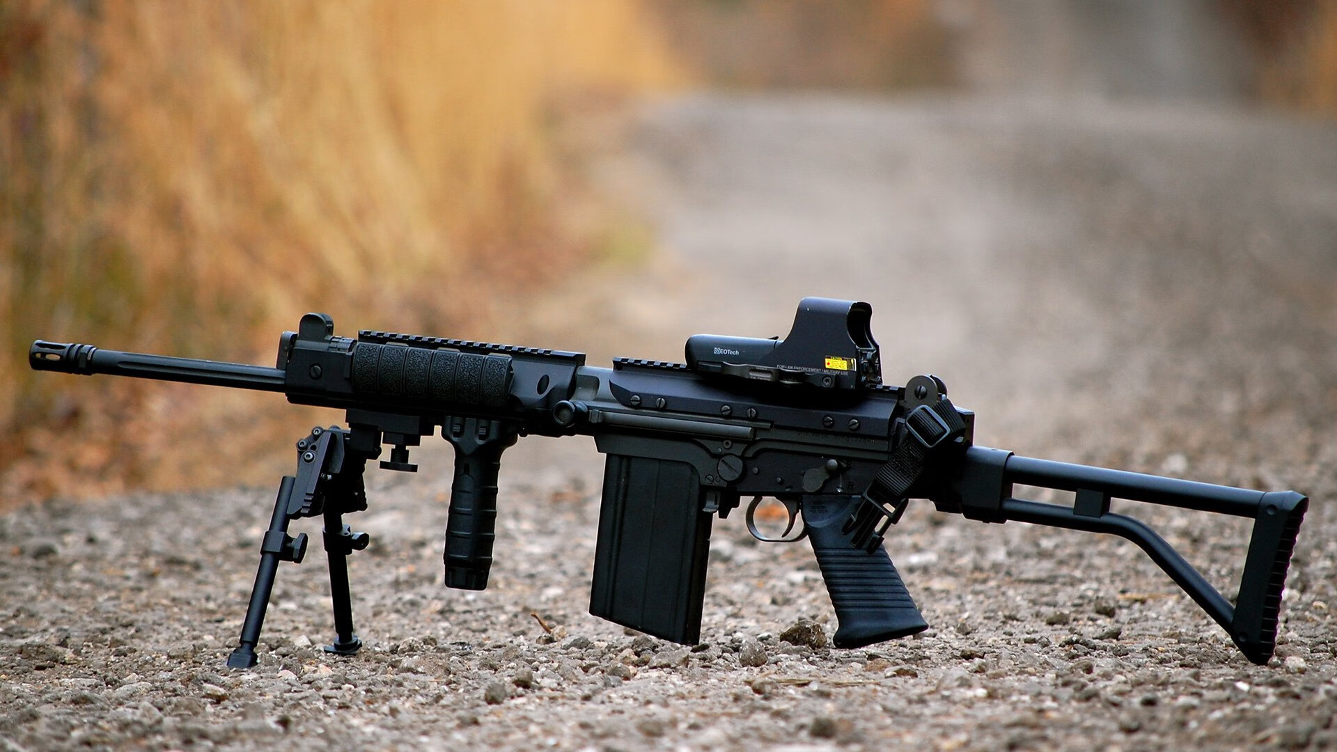 【冠军之路】运动员:从训练营到世界舞台的成长足迹,运动冠军2