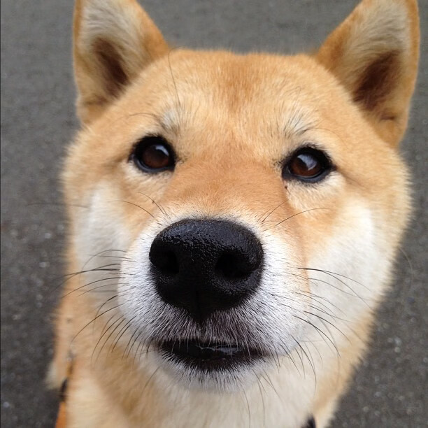 【比赛瞬间】奥沙利文:罚分扭转乾坤的经典瞬间,奥沙利文最经典的比赛