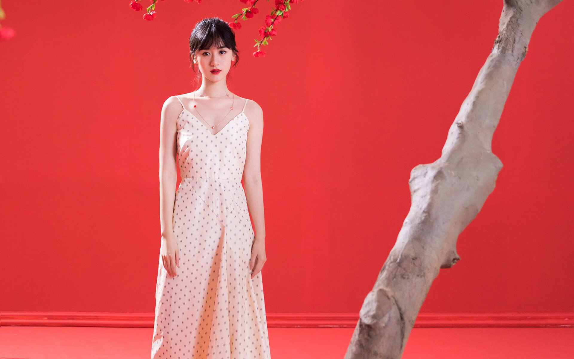 开云APP-“篮球校园巡讲”青少年科普讲座在青海全面铺开,弘扬体育文化