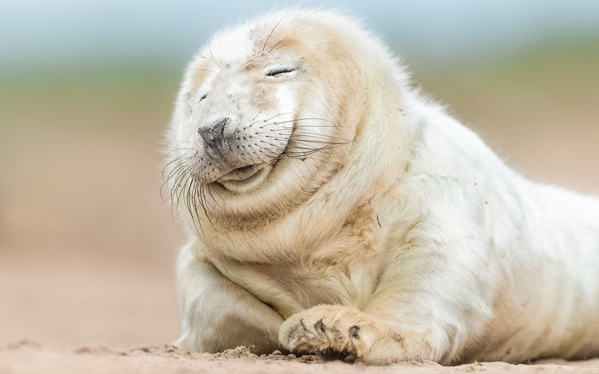 开云体育下载官网-一带一路极限运动赛事:促进文化交流